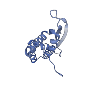 4125_5lze_N_v1-3
Structure of the 70S ribosome with Sec-tRNASec in the classical pre-translocation state (C)