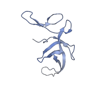 4125_5lze_U_v1-3
Structure of the 70S ribosome with Sec-tRNASec in the classical pre-translocation state (C)