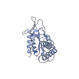 4125_5lze_b_v1-3
Structure of the 70S ribosome with Sec-tRNASec in the classical pre-translocation state (C)
