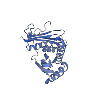 4125_5lze_c_v1-3
Structure of the 70S ribosome with Sec-tRNASec in the classical pre-translocation state (C)
