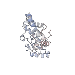 4125_5lze_d_v1-3
Structure of the 70S ribosome with Sec-tRNASec in the classical pre-translocation state (C)
