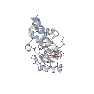 4125_5lze_d_v2-1
Structure of the 70S ribosome with Sec-tRNASec in the classical pre-translocation state (C)