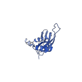4125_5lze_e_v1-3
Structure of the 70S ribosome with Sec-tRNASec in the classical pre-translocation state (C)
