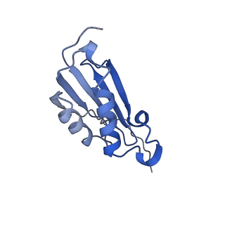 4125_5lze_k_v1-3
Structure of the 70S ribosome with Sec-tRNASec in the classical pre-translocation state (C)