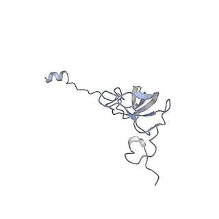 4125_5lze_l_v1-3
Structure of the 70S ribosome with Sec-tRNASec in the classical pre-translocation state (C)