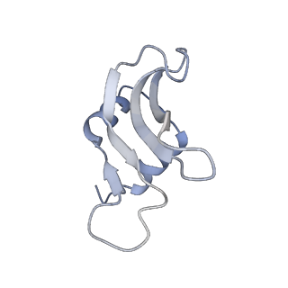 4125_5lze_p_v1-3
Structure of the 70S ribosome with Sec-tRNASec in the classical pre-translocation state (C)