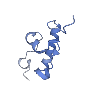 4125_5lze_r_v1-3
Structure of the 70S ribosome with Sec-tRNASec in the classical pre-translocation state (C)