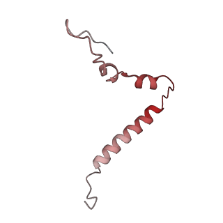 4125_5lze_u_v1-3
Structure of the 70S ribosome with Sec-tRNASec in the classical pre-translocation state (C)