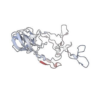4126_5lzf_C_v1-2
Structure of the 70S ribosome with fMetSec-tRNASec in the hybrid pre-translocation state (H)
