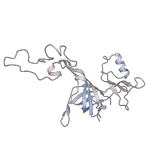 4126_5lzf_D_v1-2
Structure of the 70S ribosome with fMetSec-tRNASec in the hybrid pre-translocation state (H)