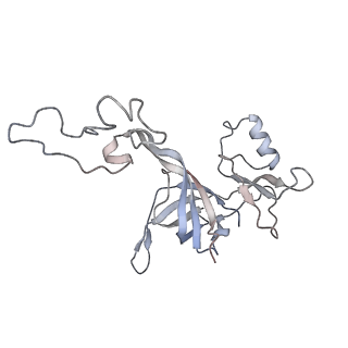 4126_5lzf_D_v2-0
Structure of the 70S ribosome with fMetSec-tRNASec in the hybrid pre-translocation state (H)