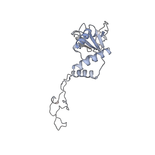 4126_5lzf_E_v1-2
Structure of the 70S ribosome with fMetSec-tRNASec in the hybrid pre-translocation state (H)