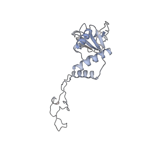 4126_5lzf_E_v2-0
Structure of the 70S ribosome with fMetSec-tRNASec in the hybrid pre-translocation state (H)