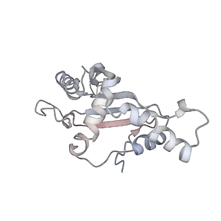 4126_5lzf_F_v1-2
Structure of the 70S ribosome with fMetSec-tRNASec in the hybrid pre-translocation state (H)