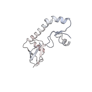 4126_5lzf_H_v1-2
Structure of the 70S ribosome with fMetSec-tRNASec in the hybrid pre-translocation state (H)