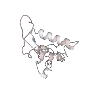 4126_5lzf_I_v1-2
Structure of the 70S ribosome with fMetSec-tRNASec in the hybrid pre-translocation state (H)