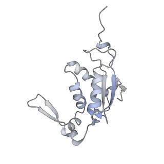 4126_5lzf_J_v2-0
Structure of the 70S ribosome with fMetSec-tRNASec in the hybrid pre-translocation state (H)