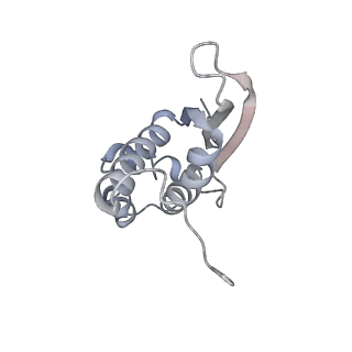 4126_5lzf_N_v1-2
Structure of the 70S ribosome with fMetSec-tRNASec in the hybrid pre-translocation state (H)