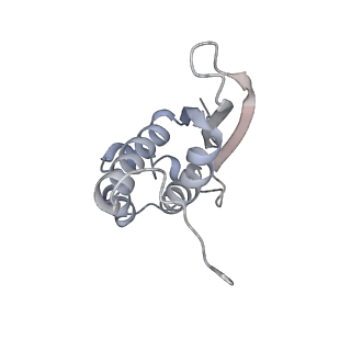 4126_5lzf_N_v2-0
Structure of the 70S ribosome with fMetSec-tRNASec in the hybrid pre-translocation state (H)