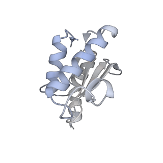 4126_5lzf_O_v2-0
Structure of the 70S ribosome with fMetSec-tRNASec in the hybrid pre-translocation state (H)