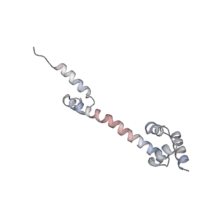 4126_5lzf_Q_v1-2
Structure of the 70S ribosome with fMetSec-tRNASec in the hybrid pre-translocation state (H)