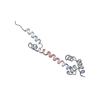 4126_5lzf_Q_v2-0
Structure of the 70S ribosome with fMetSec-tRNASec in the hybrid pre-translocation state (H)