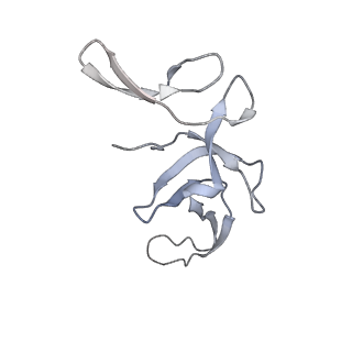 4126_5lzf_U_v1-2
Structure of the 70S ribosome with fMetSec-tRNASec in the hybrid pre-translocation state (H)