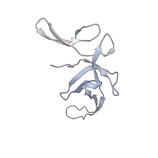 4126_5lzf_U_v2-0
Structure of the 70S ribosome with fMetSec-tRNASec in the hybrid pre-translocation state (H)