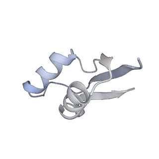 4126_5lzf_Z_v1-2
Structure of the 70S ribosome with fMetSec-tRNASec in the hybrid pre-translocation state (H)
