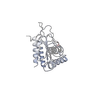 4126_5lzf_b_v1-2
Structure of the 70S ribosome with fMetSec-tRNASec in the hybrid pre-translocation state (H)