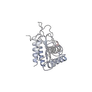 4126_5lzf_b_v2-0
Structure of the 70S ribosome with fMetSec-tRNASec in the hybrid pre-translocation state (H)