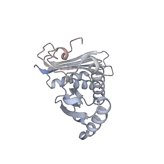 4126_5lzf_c_v1-2
Structure of the 70S ribosome with fMetSec-tRNASec in the hybrid pre-translocation state (H)