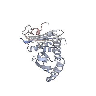 4126_5lzf_c_v2-0
Structure of the 70S ribosome with fMetSec-tRNASec in the hybrid pre-translocation state (H)