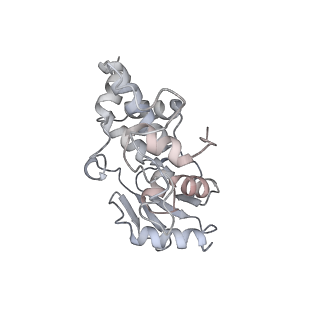4126_5lzf_d_v1-2
Structure of the 70S ribosome with fMetSec-tRNASec in the hybrid pre-translocation state (H)