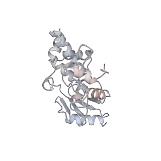 4126_5lzf_d_v2-0
Structure of the 70S ribosome with fMetSec-tRNASec in the hybrid pre-translocation state (H)