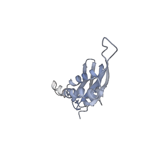 4126_5lzf_e_v1-2
Structure of the 70S ribosome with fMetSec-tRNASec in the hybrid pre-translocation state (H)