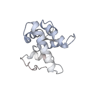 4126_5lzf_g_v1-2
Structure of the 70S ribosome with fMetSec-tRNASec in the hybrid pre-translocation state (H)