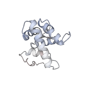 4126_5lzf_g_v2-0
Structure of the 70S ribosome with fMetSec-tRNASec in the hybrid pre-translocation state (H)