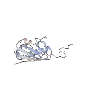 4126_5lzf_i_v1-2
Structure of the 70S ribosome with fMetSec-tRNASec in the hybrid pre-translocation state (H)