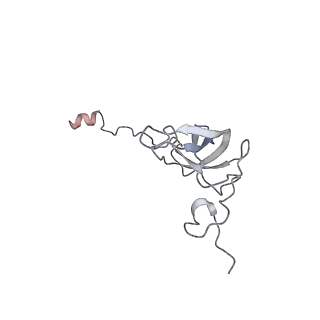 4126_5lzf_l_v1-2
Structure of the 70S ribosome with fMetSec-tRNASec in the hybrid pre-translocation state (H)