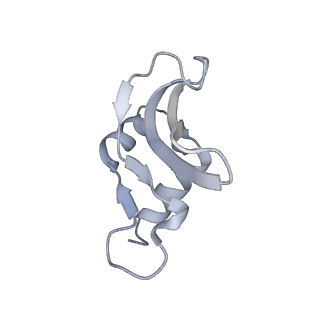 4126_5lzf_p_v1-2
Structure of the 70S ribosome with fMetSec-tRNASec in the hybrid pre-translocation state (H)