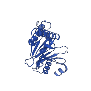 4128_5lzp_0_v1-5
Binding of the C-terminal GQYL motif of the bacterial proteasome activator Bpa to the 20S proteasome