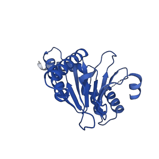 4128_5lzp_2_v1-5
Binding of the C-terminal GQYL motif of the bacterial proteasome activator Bpa to the 20S proteasome
