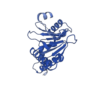 4128_5lzp_6_v1-5
Binding of the C-terminal GQYL motif of the bacterial proteasome activator Bpa to the 20S proteasome