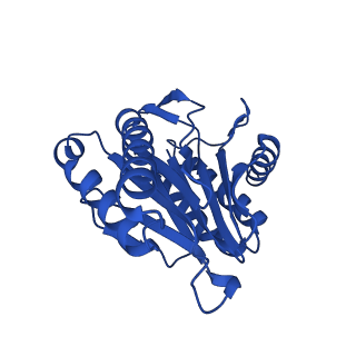 4128_5lzp_C_v1-5
Binding of the C-terminal GQYL motif of the bacterial proteasome activator Bpa to the 20S proteasome