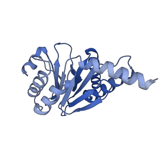 4128_5lzp_D_v1-5
Binding of the C-terminal GQYL motif of the bacterial proteasome activator Bpa to the 20S proteasome