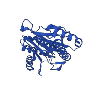 4128_5lzp_E_v1-5
Binding of the C-terminal GQYL motif of the bacterial proteasome activator Bpa to the 20S proteasome