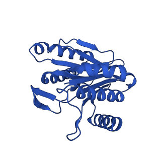 4128_5lzp_F_v1-5
Binding of the C-terminal GQYL motif of the bacterial proteasome activator Bpa to the 20S proteasome
