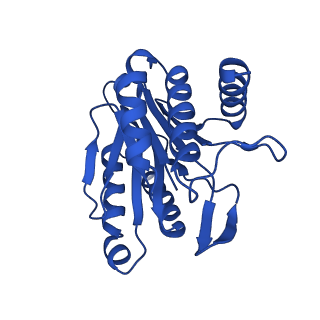 4128_5lzp_G_v1-5
Binding of the C-terminal GQYL motif of the bacterial proteasome activator Bpa to the 20S proteasome