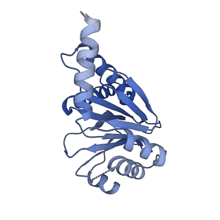 4128_5lzp_H_v1-5
Binding of the C-terminal GQYL motif of the bacterial proteasome activator Bpa to the 20S proteasome